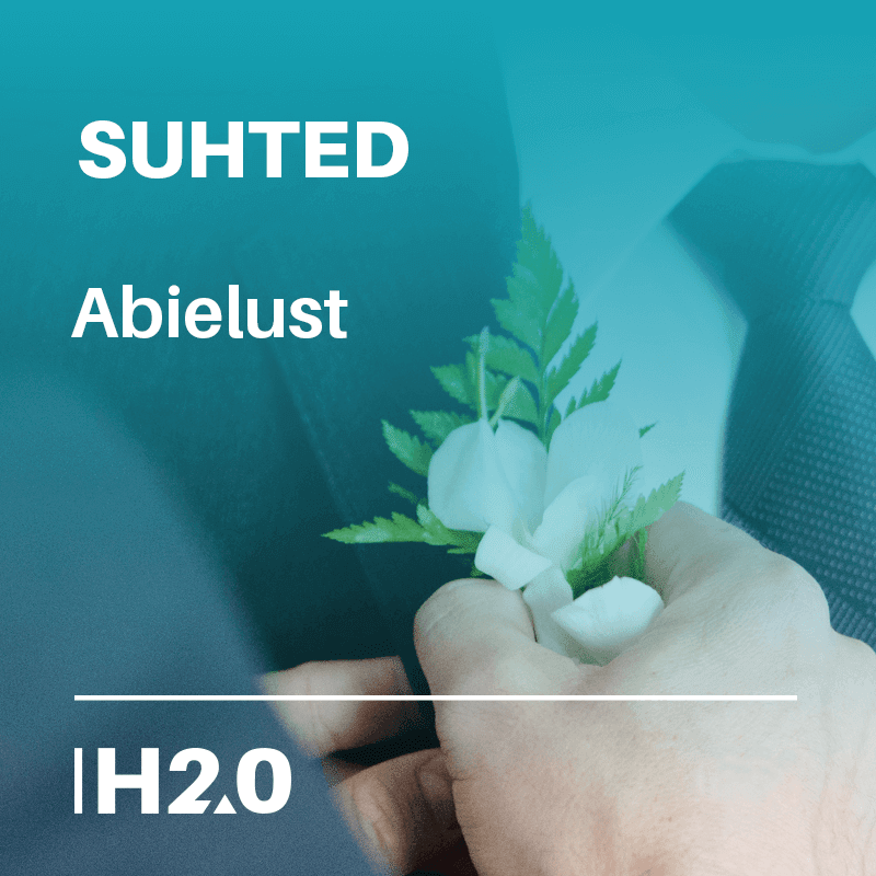suhted_abielust