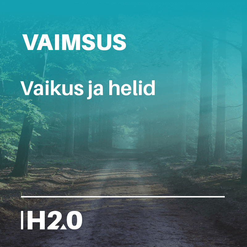 vaimsus_vaikus_helid