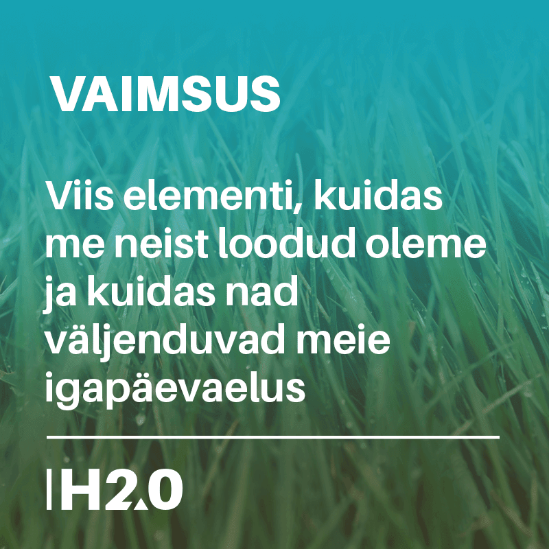 vaimsus_viis_elementi